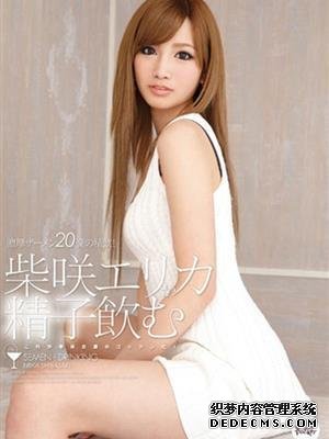 柴咲绘里香（柴咲エリカ）作品番号合集