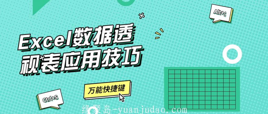 Excel数据透视表应用技巧 