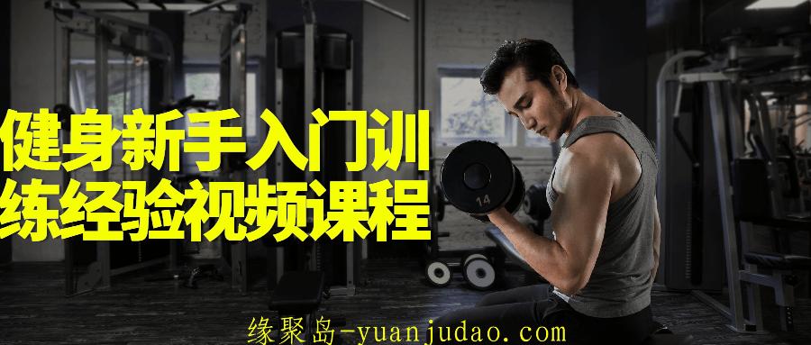 健身新手入门训练经验视频课程